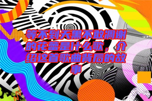 等不到天黑不敢凋謝的花蕾是什么歌,介紹這首歌曲背后的故事