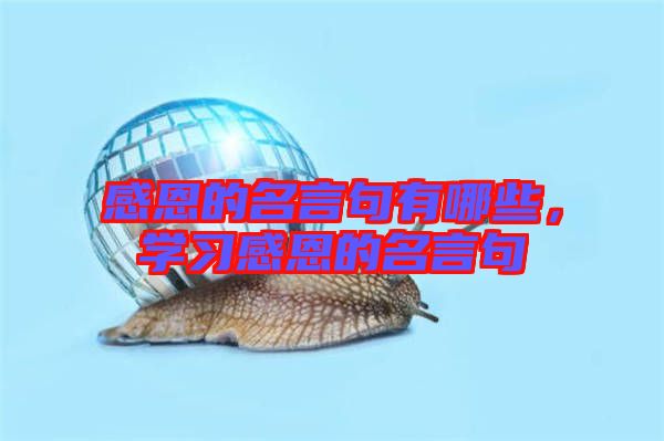 感恩的名言句有哪些，學習感恩的名言句