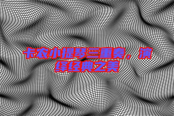 卡農(nóng)小提琴三重奏，演繹經(jīng)典之美