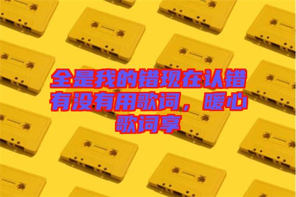 全是我的錯現(xiàn)在認錯有沒有用歌詞,暖心歌詞享