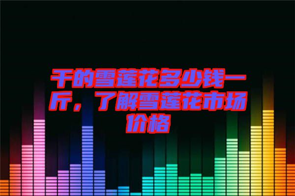 干的雪蓮花多少錢一斤,了解雪蓮花市場價格