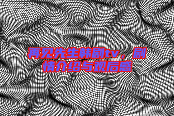 再見先生韓劇tv,劇情介紹與觀后感