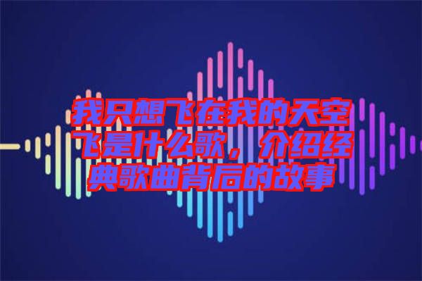 我只想飛在我的天空飛是什么歌,介紹經典歌曲背后的故事