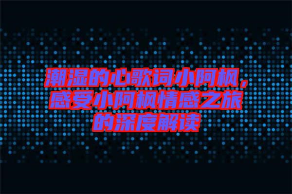 潮濕的心歌詞小阿楓,感受小阿楓情感之旅的深度解讀
