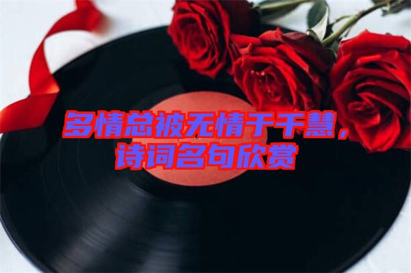 多情總被無情于千慧,詩詞名句欣賞