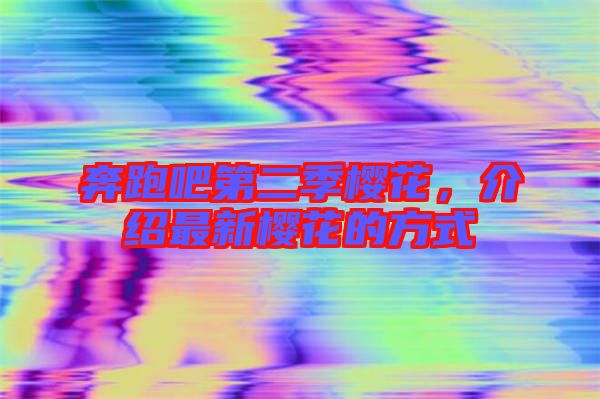 奔跑吧第二季櫻花,介紹最新櫻花的方式