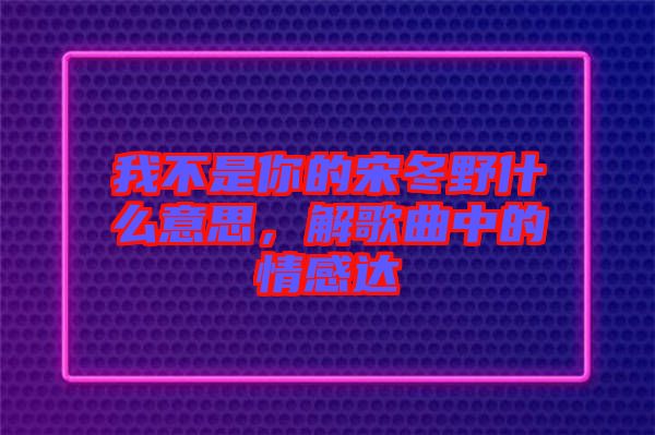 我不是你的宋冬野什么意思,解歌曲中的情感達(dá)