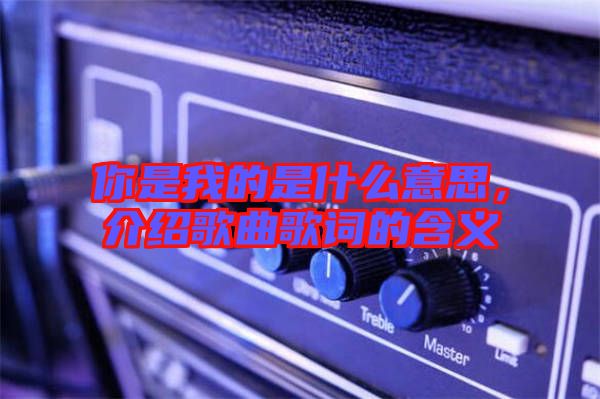 你是我的是什么意思,介紹歌曲歌詞的含義