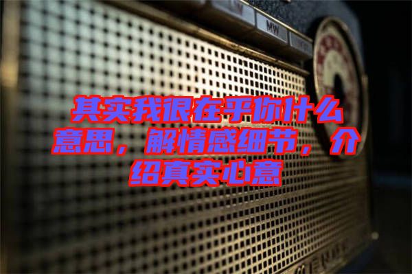 其實我很在乎你什么意思,解情感細節,介紹真實心意