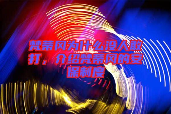 梵蒂岡為什么沒人敢打,介紹梵蒂岡的安保制度