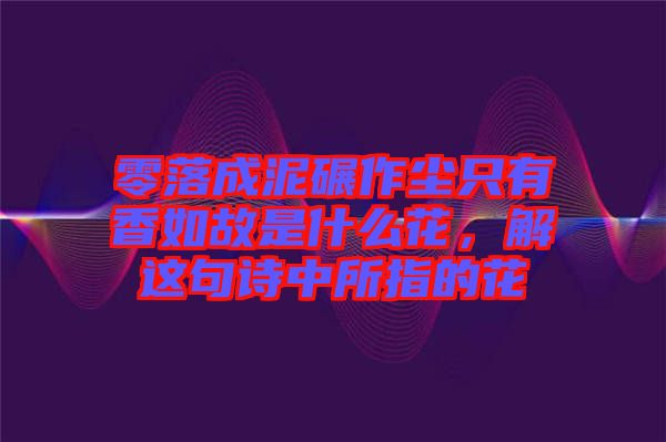 零落成泥碾作塵只有香如故是什么花,解這句詩中所指的花