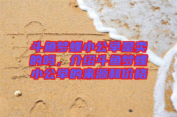 斗魚夢蝶小公舉是賣的嗎，介紹斗魚夢蝶小公舉的來源和價格