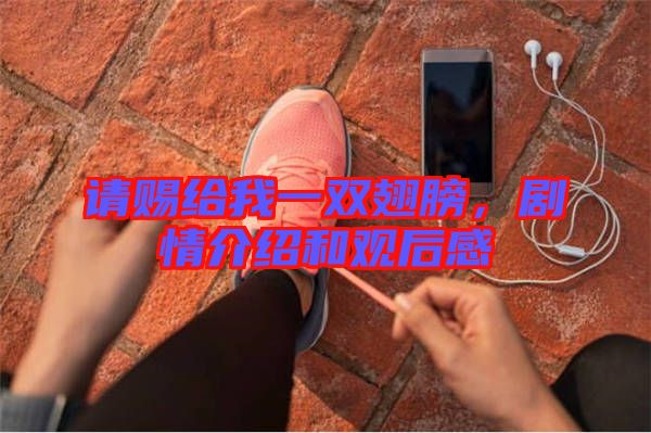 請(qǐng)賜給我一雙翅膀,劇情介紹和觀后感