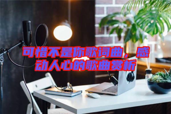 可惜不是你歌詞曲,感動人心的歌曲賞析
