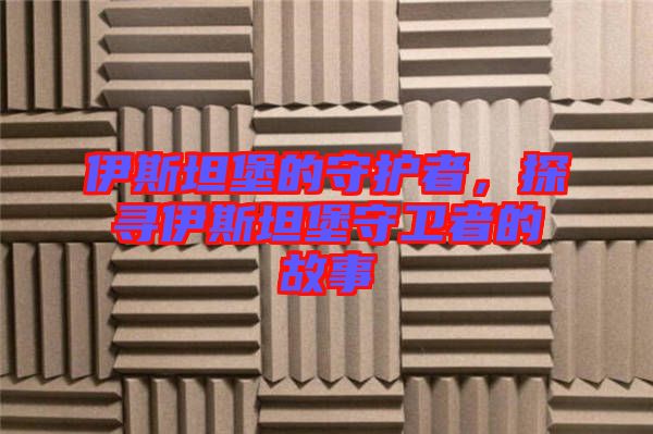 伊斯坦堡的守護(hù)者,探尋伊斯坦堡守衛(wèi)者的故事