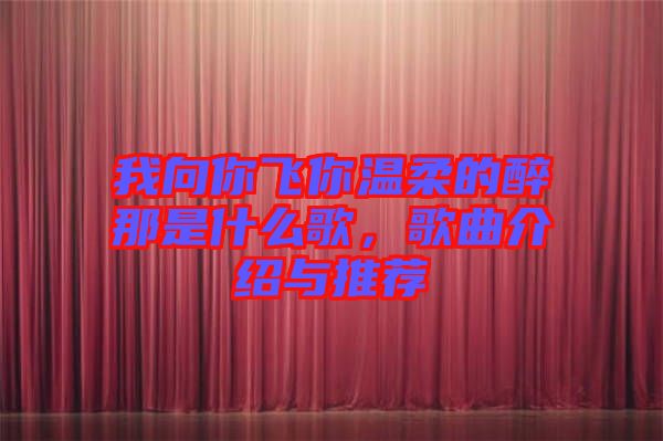 我向你飛你溫柔的醉那是什么歌,歌曲介紹與推薦