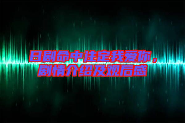 日劇命中注定我愛你,劇情介紹及觀后感