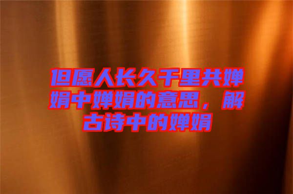 但愿人長久千里共嬋娟中嬋娟的意思,解古詩中的嬋娟