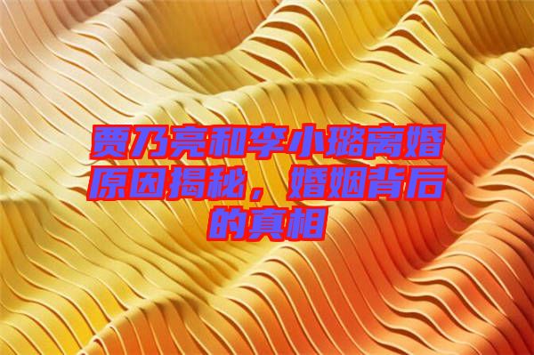 賈乃亮和李小璐離婚原因揭秘,婚姻背后的真相