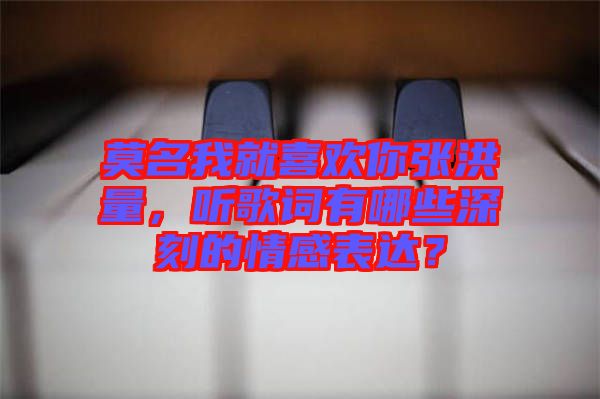 莫名我就喜歡你張洪量，聽歌詞有哪些深刻的情感表達？