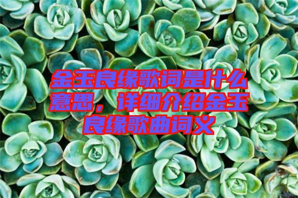金玉良緣歌詞是什么意思,詳細介紹金玉良緣歌曲詞義