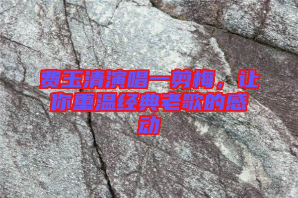費玉清演唱一剪梅，讓你重溫經典老歌的感動