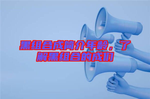 黑組合成簡介年齡,了解黑組合的成們