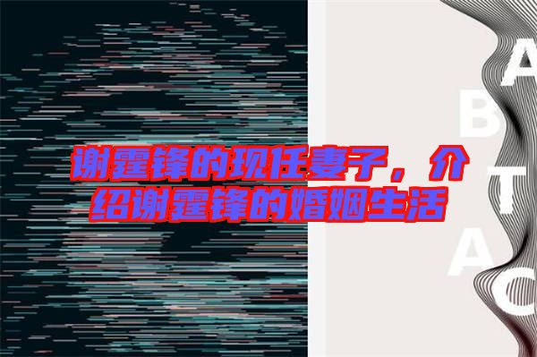謝霆鋒的現任妻子,介紹謝霆鋒的婚姻生活