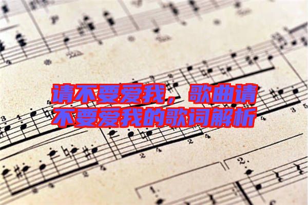 請不要愛我,歌曲請不要愛我的歌詞解析