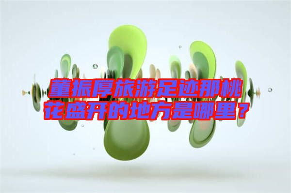 董振厚旅游足跡那桃花盛開(kāi)的地方是哪里?