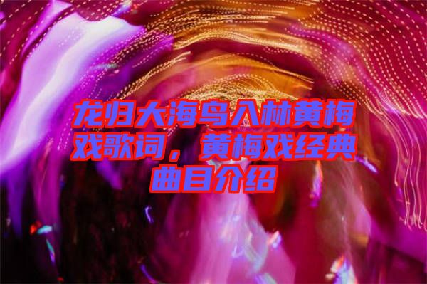 龍歸大海鳥入林黃梅戲歌詞,黃梅戲經典曲目介紹