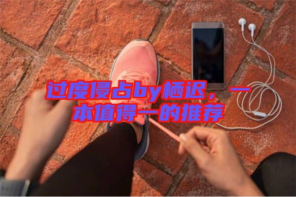 過度侵占by棲遲,一本值得一的推薦