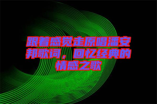 跟著感覺走原唱潘安邦歌詞，回憶經典的情感之歌