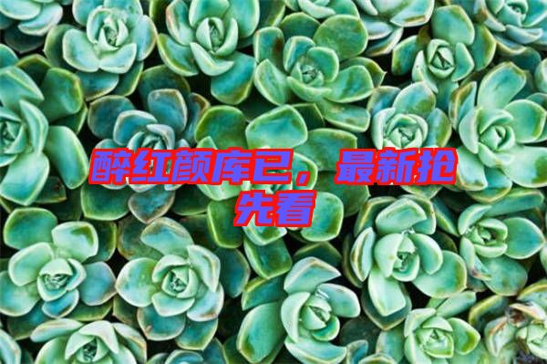 醉紅顏庫已,最新搶先看