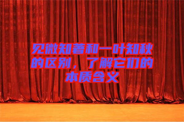 見(jiàn)微知著和一葉知秋的區(qū)別,了解它們的本質(zhì)含義