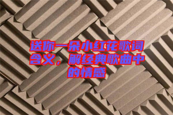 送你一朵小紅花歌詞含義,解經(jīng)典歌曲中的情感