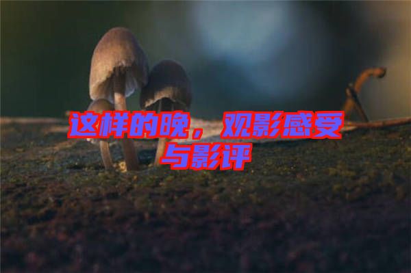 這樣的晚,觀影感受與影評