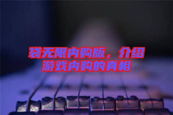 袋無限內(nèi)購版,介紹游戲內(nèi)購的真相