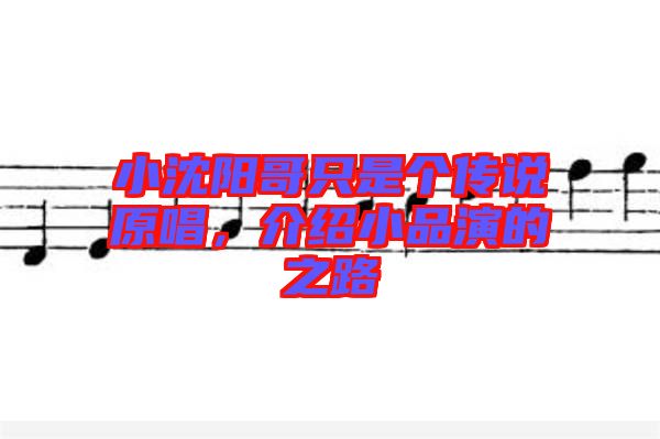 小沈陽哥只是個傳說原唱,介紹小品演的之路