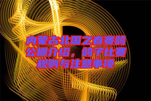 內蒙古北國之春賽鴿公棚介紹,鴿子比賽規則與注意事項