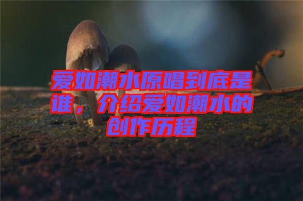 愛如潮水原唱到底是誰,介紹愛如潮水的創(chuàng)作歷程