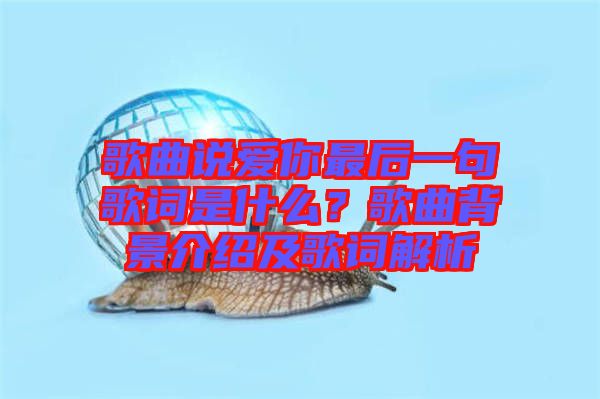 歌曲說愛你最后一句歌詞是什么?歌曲背景介紹及歌詞解析