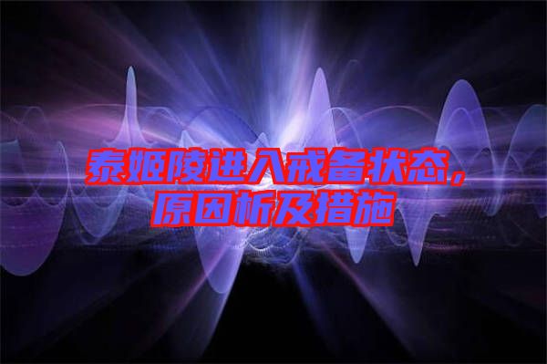 泰姬陵進入戒備狀態,原因析及措施