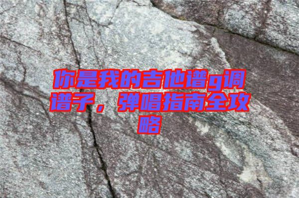 你是我的吉他譜g調(diào)譜子,彈唱指南全攻略