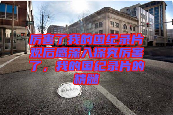 厲害了我的國紀錄片觀后感深入探究厲害了,我的國紀錄片的精髓