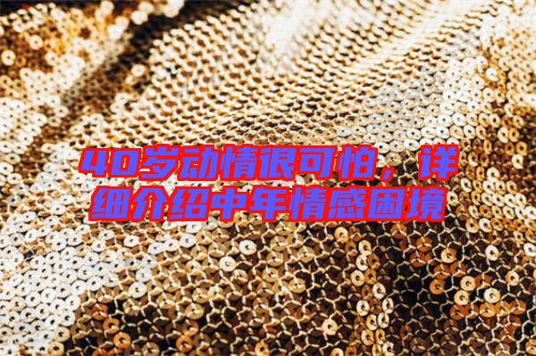 40歲動情很可怕,詳細介紹中年情感困境