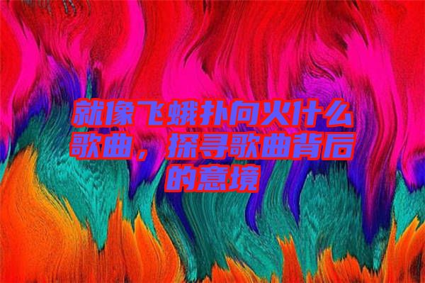 就像飛蛾撲向火什么歌曲，探尋歌曲背后的意境