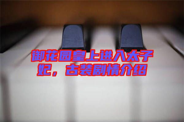 御花園皇上進入太子妃,古裝劇情介紹