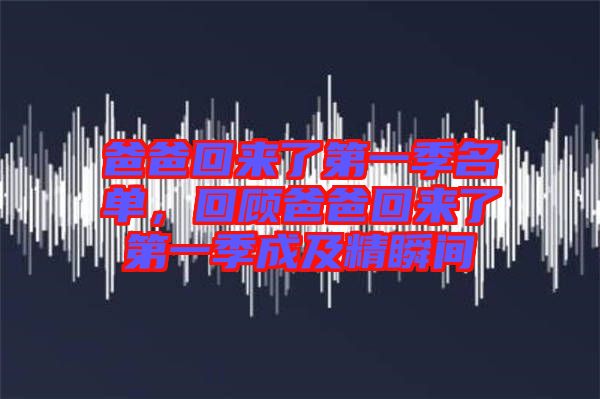 爸爸回來了第一季名單,回顧爸爸回來了第一季成及精瞬間