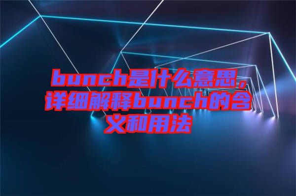 bunch是什么意思,詳細解釋bunch的含義和用法
